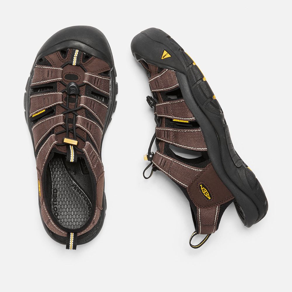 Sandales de Randonnée Keen Homme Marron/Noir | Newport H2 | IBKLR-1467